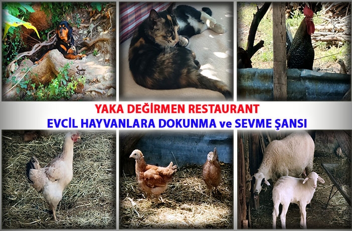 Yaka Değirmen Restaurant 